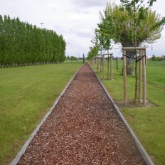 Aanleggen parkings trimpad/voetbalveld Proven