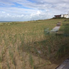 Omgevingsaanleg Zilt Residences De Panne